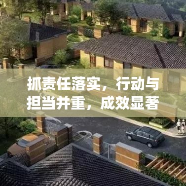 抓责任落实，行动与担当并重，成效显著！