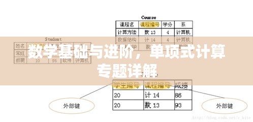数学基础与进阶，单项式计算专题详解