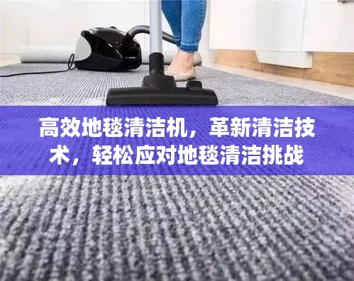 高效地毯清洁机，革新清洁技术，轻松应对地毯清洁挑战