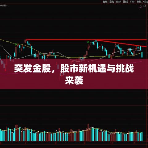突发金股，股市新机遇与挑战来袭