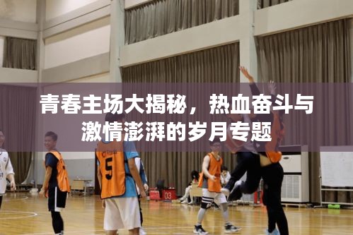 青春主场大揭秘，热血奋斗与激情澎湃的岁月专题