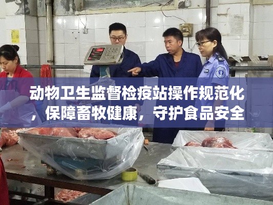 动物卫生监督检疫站操作规范化，保障畜牧健康，守护食品安全