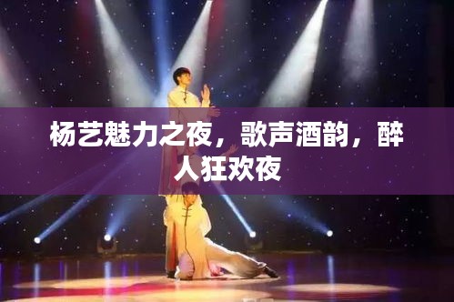 杨艺魅力之夜，歌声酒韵，醉人狂欢夜