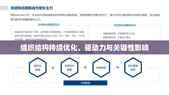 组织结构持续优化，驱动力与关键性影响