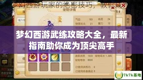 梦幻西游武练攻略大全，最新指南助你成为顶尖高手