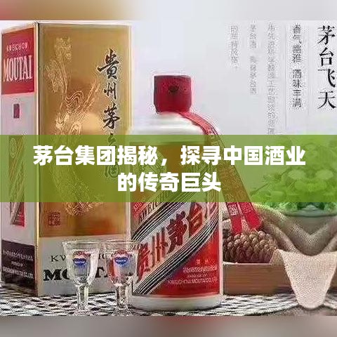 茅台集团揭秘，探寻中国酒业的传奇巨头