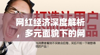 网红经济深度解析，多元面貌下的网红专访专题