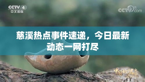 慈溪热点事件速递，今日最新动态一网打尽
