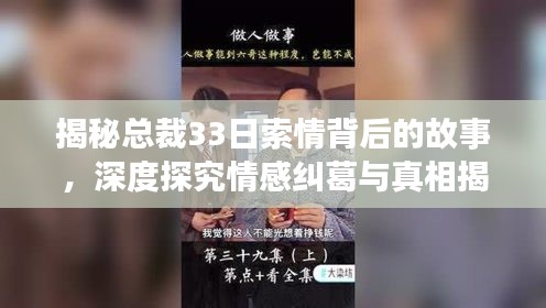 揭秘总裁33日索情背后的故事，深度探究情感纠葛与真相揭秘