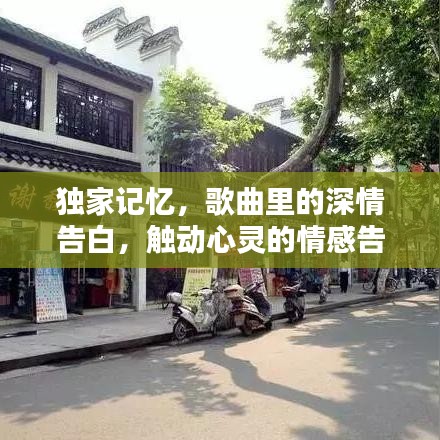 独家记忆，歌曲里的深情告白，触动心灵的情感告白！