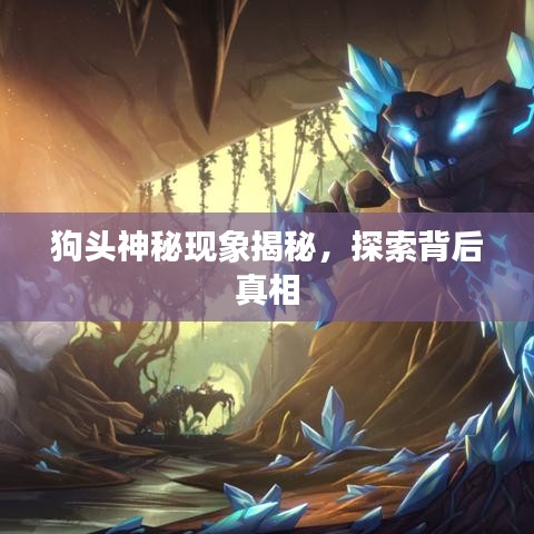 狗头神秘现象揭秘，探索背后真相