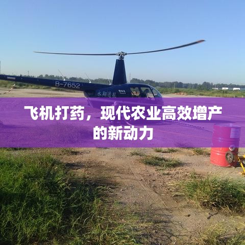 第338页