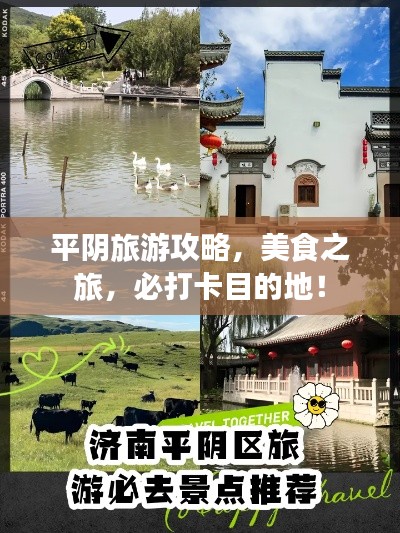 平阴旅游攻略，美食之旅，必打卡目的地！