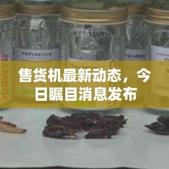 售货机最新动态，今日瞩目消息发布