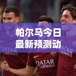 帕尔马今日最新预测动态曝光！