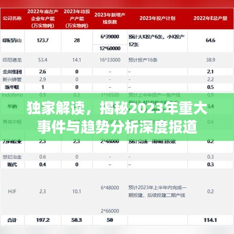 独家解读，揭秘2023年重大事件与趋势分析深度报道