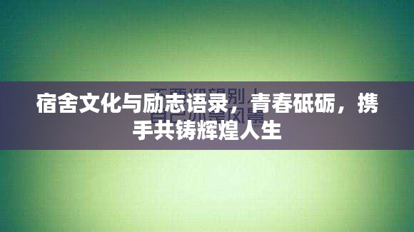 宿舍文化与励志语录，青春砥砺，携手共铸辉煌人生