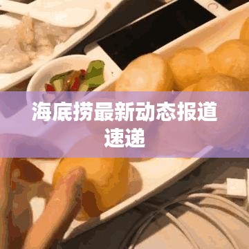 海底捞最新动态报道速递