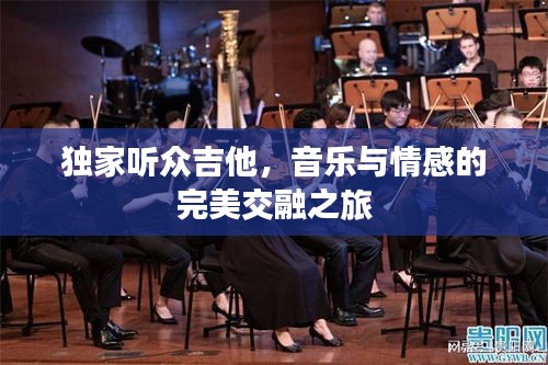 独家听众吉他，音乐与情感的完美交融之旅