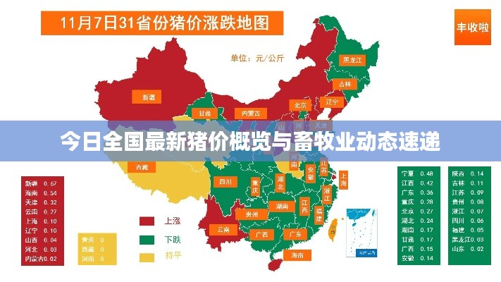 今日全国最新猪价概览与畜牧业动态速递