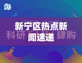 新宁区热点新闻速递