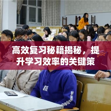 高效复习秘籍揭秘，提升学习效率的关键策略！