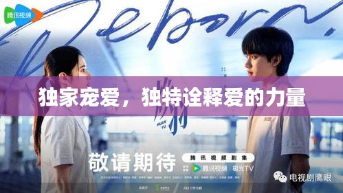 惊弦之鸟