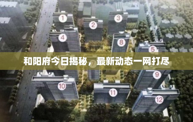 飞天遁地