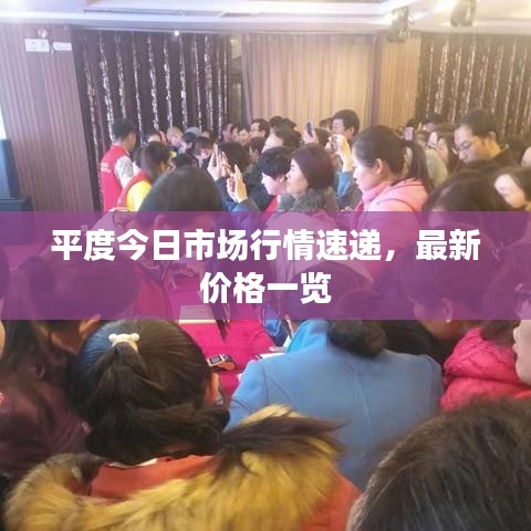 平度今日市场行情速递，最新价格一览