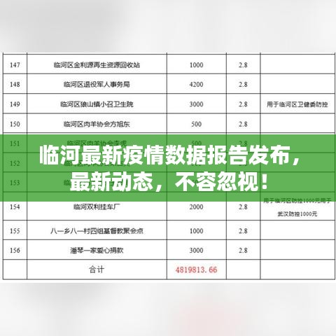临河最新疫情数据报告发布，最新动态，不容忽视！