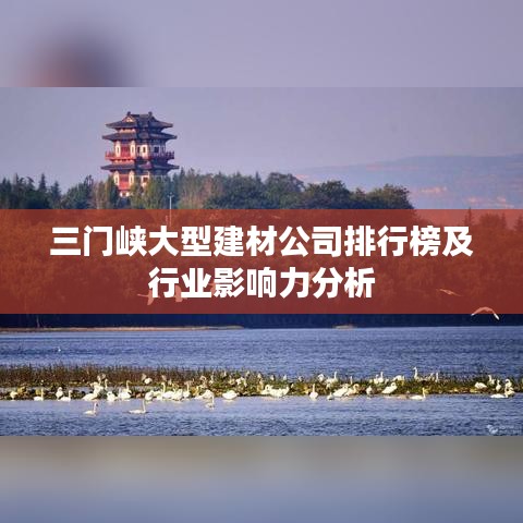 三门峡大型建材公司排行榜及行业影响力分析