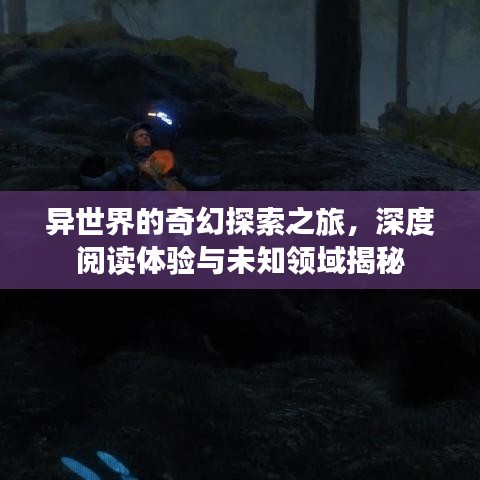 异世界的奇幻探索之旅，深度阅读体验与未知领域揭秘