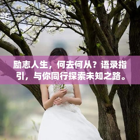 励志人生，何去何从？语录指引，与你同行探索未知之路。