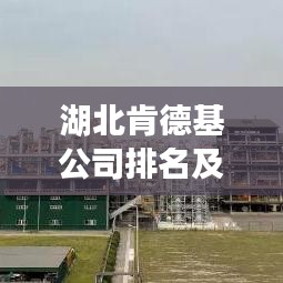 湖北肯德基公司排名及成功秘诀大揭秘！