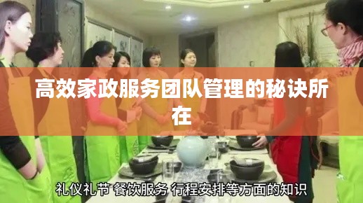高效家政服务团队管理的秘诀所在