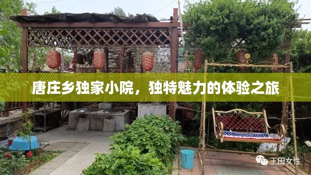 唐庄乡独家小院，独特魅力的体验之旅