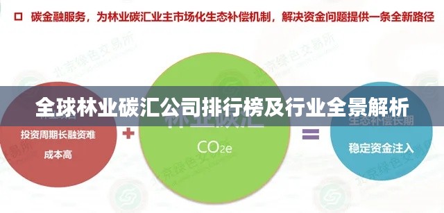全球林业碳汇公司排行榜及行业全景解析