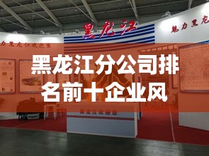 黑龙江分公司排名前十企业风采展示，卓越实力与卓越成就