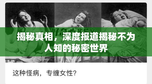 揭秘真相，深度报道揭秘不为人知的秘密世界