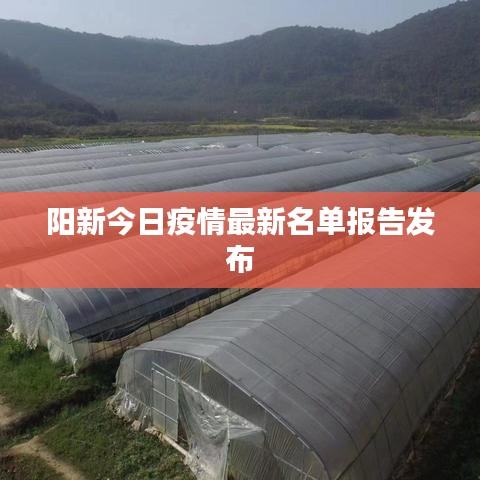 阳新今日疫情最新名单报告发布