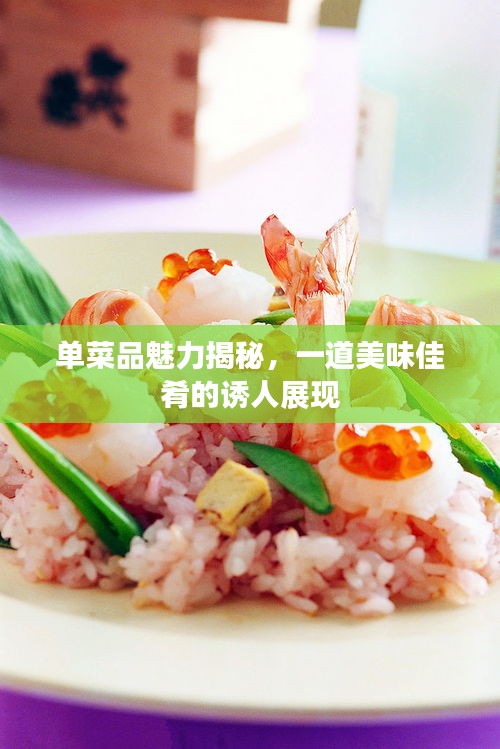 单菜品魅力揭秘，一道美味佳肴的诱人展现