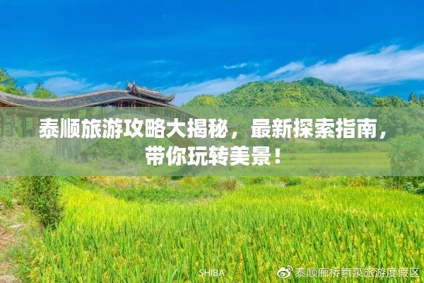 泰顺旅游攻略大揭秘，最新探索指南，带你玩转美景！