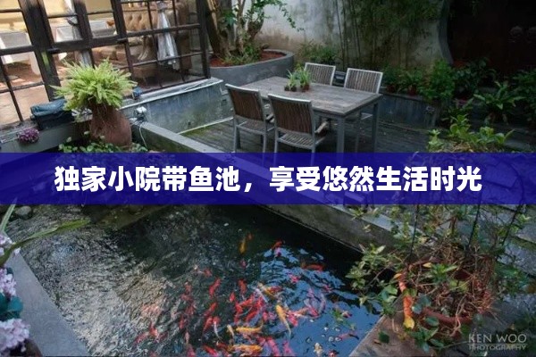 独家小院带鱼池，享受悠然生活时光