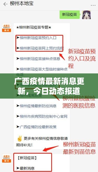 广西疫情最新消息更新，今日动态报道