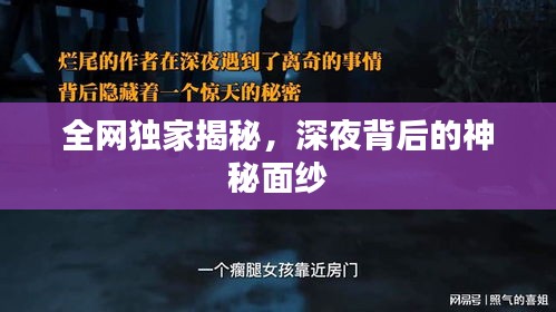 全网独家揭秘，深夜背后的神秘面纱