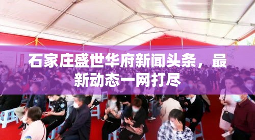 石家庄盛世华府新闻头条，最新动态一网打尽