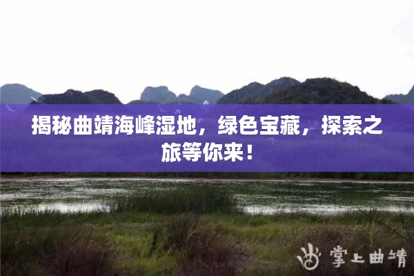 揭秘曲靖海峰湿地，绿色宝藏，探索之旅等你来！