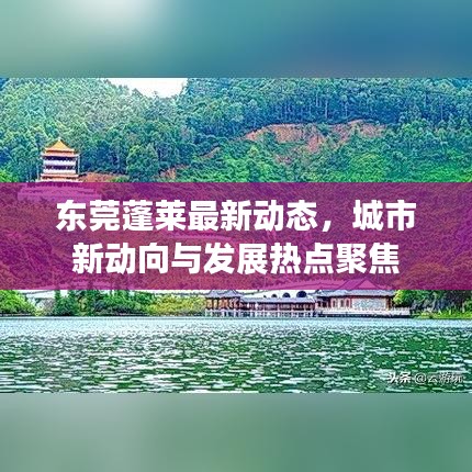 东莞蓬莱最新动态，城市新动向与发展热点聚焦