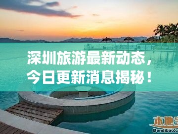 深圳旅游最新动态，今日更新消息揭秘！