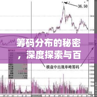筹码分布的秘密，深度探索与百度搜索之旅